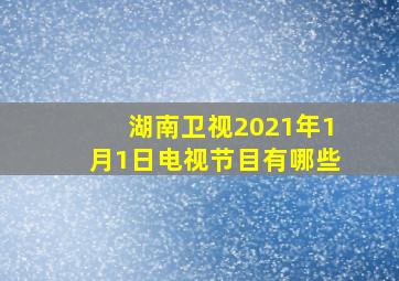 湖南卫视2021年1月1日电视节目有哪些