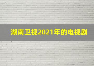 湖南卫视2021年的电视剧