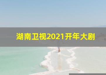 湖南卫视2021开年大剧