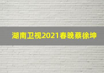 湖南卫视2021春晚蔡徐坤