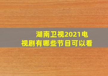 湖南卫视2021电视剧有哪些节目可以看