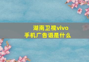 湖南卫视vivo手机广告语是什么