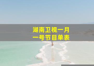 湖南卫视一月一号节目单表