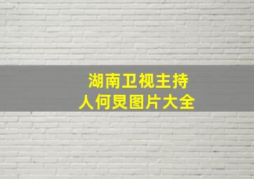 湖南卫视主持人何炅图片大全