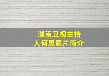 湖南卫视主持人何炅图片简介