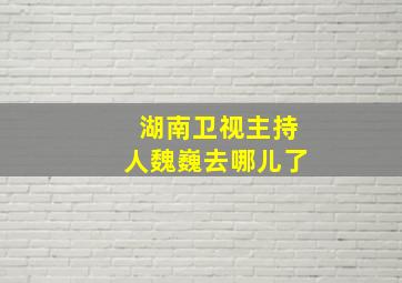 湖南卫视主持人魏巍去哪儿了