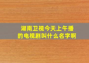 湖南卫视今天上午播的电视剧叫什么名字啊