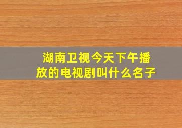 湖南卫视今天下午播放的电视剧叫什么名子