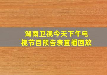 湖南卫视今天下午电视节目预告表直播回放