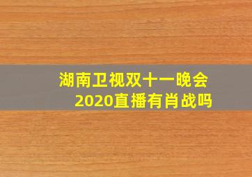 湖南卫视双十一晚会2020直播有肖战吗