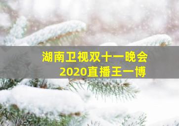 湖南卫视双十一晚会2020直播王一博