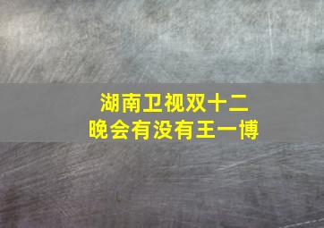 湖南卫视双十二晚会有没有王一博