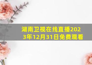 湖南卫视在线直播2023年12月31日免费观看