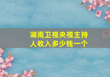 湖南卫视央视主持人收入多少钱一个