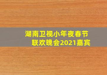 湖南卫视小年夜春节联欢晚会2021嘉宾