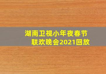 湖南卫视小年夜春节联欢晚会2021回放