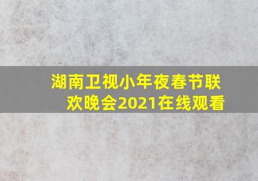 湖南卫视小年夜春节联欢晚会2021在线观看