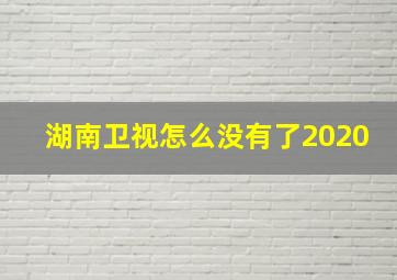 湖南卫视怎么没有了2020