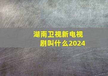 湖南卫视新电视剧叫什么2024