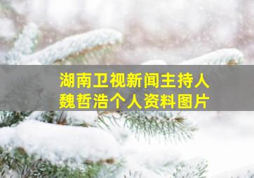 湖南卫视新闻主持人魏哲浩个人资料图片