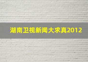 湖南卫视新闻大求真2012