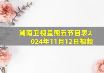 湖南卫视星期五节目表2024年11月12日视频