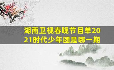 湖南卫视春晚节目单2021时代少年团是哪一期