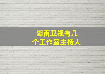 湖南卫视有几个工作室主持人