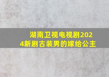 湖南卫视电视剧2024新剧古装男的嫁给公主