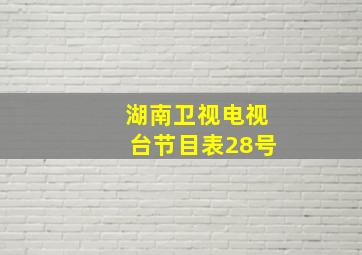 湖南卫视电视台节目表28号