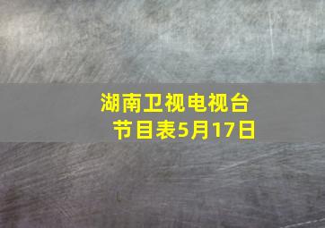 湖南卫视电视台节目表5月17日