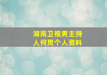 湖南卫视男主持人何炅个人资料