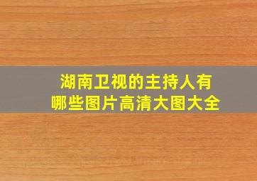 湖南卫视的主持人有哪些图片高清大图大全