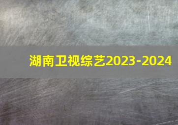 湖南卫视综艺2023-2024