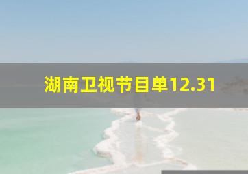 湖南卫视节目单12.31