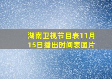 湖南卫视节目表11月15日播出时间表图片