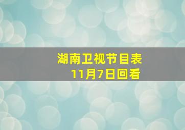 湖南卫视节目表11月7日回看