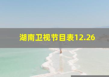 湖南卫视节目表12.26