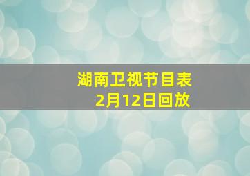 湖南卫视节目表2月12日回放