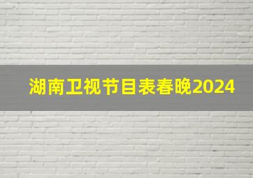 湖南卫视节目表春晚2024