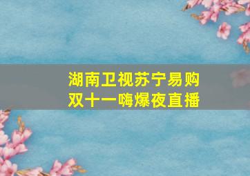 湖南卫视苏宁易购双十一嗨爆夜直播