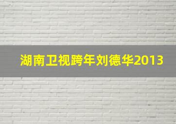 湖南卫视跨年刘德华2013