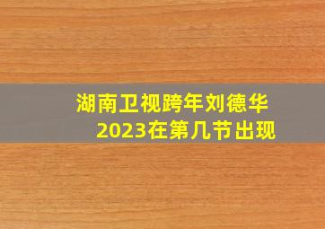 湖南卫视跨年刘德华2023在第几节出现