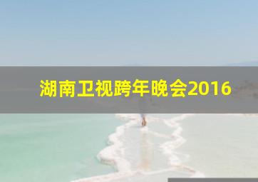 湖南卫视跨年晚会2016