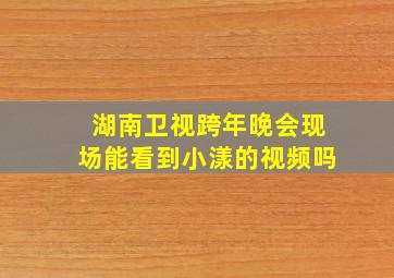 湖南卫视跨年晚会现场能看到小漾的视频吗