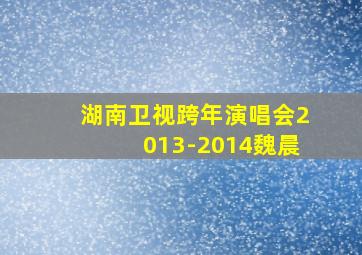 湖南卫视跨年演唱会2013-2014魏晨