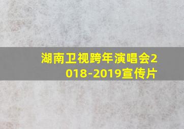 湖南卫视跨年演唱会2018-2019宣传片