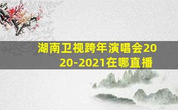 湖南卫视跨年演唱会2020-2021在哪直播