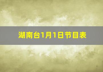 湖南台1月1日节目表