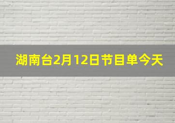 湖南台2月12日节目单今天